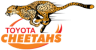 Cheetahs