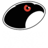 Glasgow Hawks